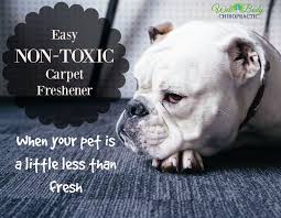 Enjoy 5% savings on all future orders; Smelly Dog Smelly Carpet No Problem Well Body Chiropractic Dog Incontinence Smelly Dog Dog Health Tips