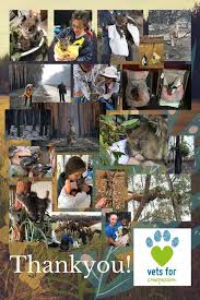 The base cost of a visit. Vets For Compassion Vets Compassion Twitter