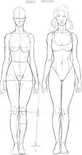 Would you like to draw an outline of the human body? Explained Human Figure Drawings And Sketches Male And Female Both Hercottage