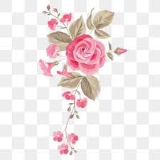 Hermosa Mano Pintura Rosa Flor Flor Flores Hermosa Flor Png Y Psd Para Descargar Gratis Pngtree In 2020 Watercolor Flower Illustration Watercolor Flower Background Flower Graphic