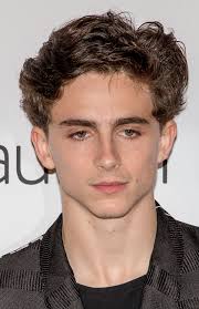Timothee Chalamet Wikipedia