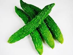 Are wild cucumbers poisonous to dogs, too? Can Dogs Eat Bitter Melon Dog Leash Pro