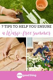 It is also the best way to get rid of wasps as the strong smell of vinegar cannot be tolerated by them. How To Get Rid Of Wasps With Vinegar Arxiusarquitectura