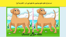تست تمرکز: تفاوت های دو تصویر سگ قهوه ای را در 10 ثانیه پیدا کن!