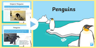 Palmieri nets pair, powers isles past pens in ot. Penguin Powerpoint Activity Worksheet Teaching Resource Twinkl