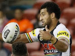 • penrith panthers #567 • fiji bati • don't count the days; Nrl Local Rugby League News And Reports The Chronicle