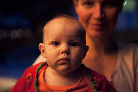 Woodlot — Journal — MARCHÉ + ATELIER