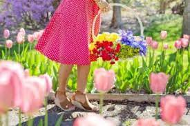 Welcome to secret of samayalmy garden in tamil/home garden/kitchen garden with english subtitlesin this video i have shown my little home garden, where we gr. Essay On Gardening For Students And Children 500 Words Essay