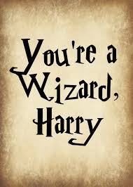 The wand chooses the wizard, mr. 39 Harry Potter Wizards Quotes Quotes For Life