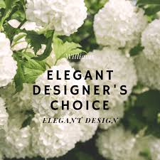 We did not find results for: Silverdale Bremerton Florist Shops Flowers Delivery Wa Williams Flowers William S Flowers