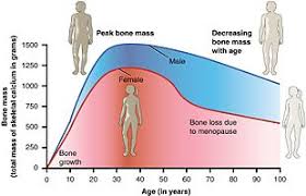 When women enter the menopause transition, estrogen levels drastically fluctuate and begin to drop. Menopause Wikipedia