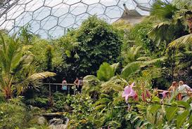 The charity said the east dock street site would be a powerful symbol of regeneration. it said the attraction would include walled gardens and draw on the history of dundee's nine. Eden Project To Cut Fifteen More Jobs Third Sector