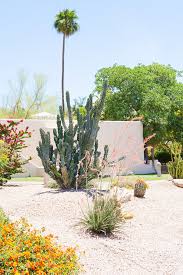 Jw marriott camelback inn scottsdale resort and spa, jw marriott camelback inn scottsdale hotel paradise valley, jw marriott are any cleaning services offered at jw marriott scottsdale camelback inn resort & spa? 2nd Wedding Anniversary What You Need To Take Advantage Of At Jw Marriott Camelback Inn Resort Spa The Pkp Way