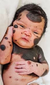 Tribute to a music legend with let it be