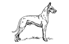 We did not find results for: Pin On Dog Care Merit Badge