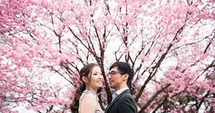 Beautiful flowy dress for cherry blossom photoshoot. When Is The Cherry Blossoms Sakura Season In Japan In 2017 Onethreeonefour Blog