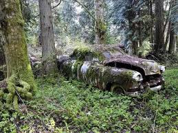 Nature Taking Over Nature Abandoned Places Abandoned