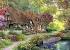 Beautiful Autumn Cottage