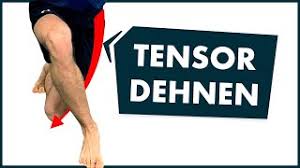 Tensor Fasciae Latae Tfl Richtig Dehnen Youtube
