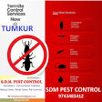 ANTI-TERMITE TREATMENT product image