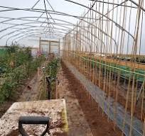 My next step with my greenhouse is guttering any advice guys