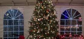 Image result for duf's playhouse