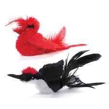 In fact, kitties chirp at the prey, their pet parents, toys, and other animals. Shop Ourpets Real Birds Cat Toy Overstock 15220715