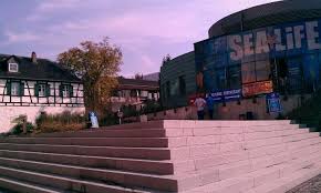 sea life konigswinter aquarium ausflugsziel aquarium ausflugsziele ausflug erlebnis