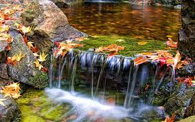 Posted by admin posted on april 14, 2019 with no comments. Hd Wallpaper Beautiful Butchart Gardens Waterfall Nature Scenery Wallpaper 4826 Wallpaper Flare