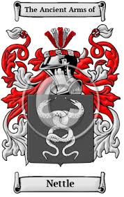 New york had the highest population of bea families in 1840. Nettle Name Meaning Family History Family Crest Coats Of Arms