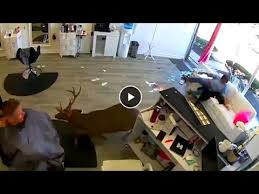 You will be extremely impressed with your makeup application! Deer Jumps Through Window Of Long Island Hair Salon Youtube