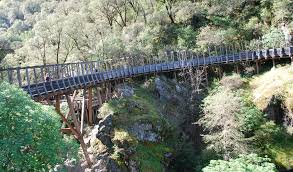 Picnic table, bear box more. Independence Trail Nevada City California