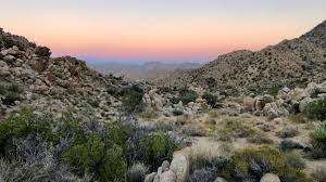 Mojave Desert Land Trust