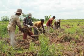 We did not find results for: Kehidupan Masyarakat Sungai Di Kalimantan Selatan Cerita Pantau Gambut