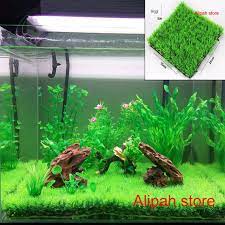 We did not find results for: Rumput Sintetis Aquarium Lazada Indonesia