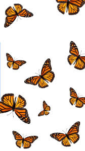 I'm not sure if blue monarch butterflies exist in reality, but they do exist in the guild wars 2 mmo near a particular strawberry patch. Monarch Butterfly Aesthetic Wallpapers Wallpaper Cave