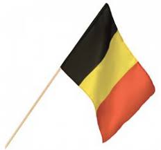 Onze vlaggen worden gemaakt van 115g glanspolyester vlaggenstof en worden standaard afgewerkt met een band en 2 clips. Zwaaivlag Belgie 30x45cm Luxe Vlaggenclub
