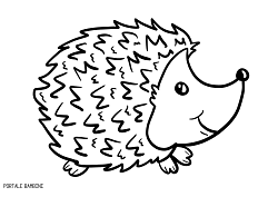 Disegni Di Ricci Da Stampare E Colorare Gratis Portale Bambini Pagine Da Colorare Di Natale Disegni Bambini Da Colorare