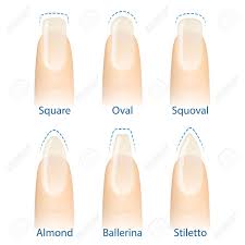 Matte acrylic short square nails design for summer nails, short square nails col… matte acryl short square nägel design für sommer nägel, short square nägel farbideen. Nagel Manikure Satz Von Nagel Formen Oval Quadratisch Mandel Stilett Ballerina Squoval Vektor Lizenzfrei Nutzbare Vektorgrafiken Clip Arts Illustrationen Image 84178377