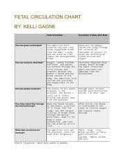 Fetal Circulation 6 5 Fetal Circulation Chart By Kelli