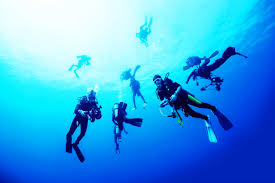 Image result for Scuba Blue 2017 A1