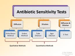 Antibiotic Sensitivity Tests