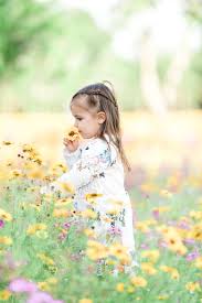 Shop a wholesale florist and save big on diy wedding our purple flowers. Family Session In The Flower Field Jacksonville And Ponte Vedra Family Photographer Flower Field Flower Photoshoot Family Flowers