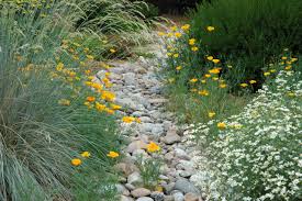 Birthday, love and romance, sympathy, get well, congratulations Colorado Springs Xeriscape Garden Mediterranean Landscape Denver By Sunflower Designs Llc Houzz