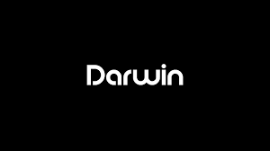 Selected Logos N 2 On Behance Logos Website Branding Darwin