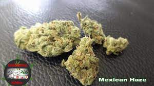 Mexican Haze Puff Puff Pass Youtube