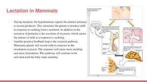 Unit 7 Illustrative Examples Part 1 Ppt Download