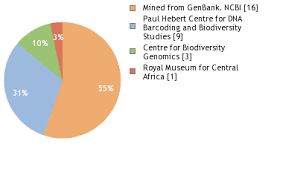 Image result for Pentas micrantha