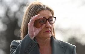 The Rock Eisteddfod showman spruiking nuclear energy