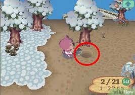 The next step in getting a golden shovel is to bury one of your shovels under the ground. How To Get A Golden Shovel In Animal Crossing Wild World 5 Steps